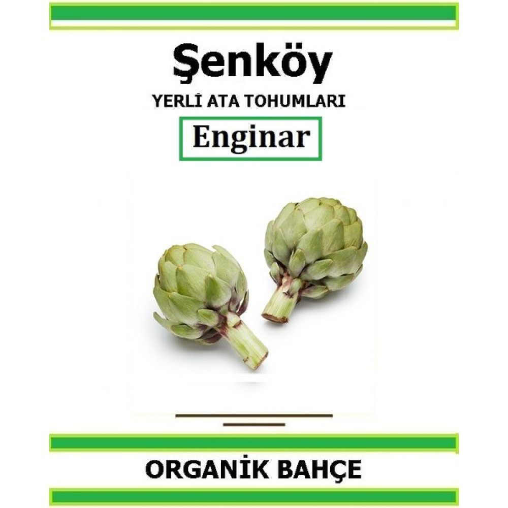 Şenköy Yerli Erkenci Enginar Tohumu Doğal Ata Tohum Pakette 10 Tohum + Hediye Sebze Tohumu - 1 Adet Tohum Fiyatı