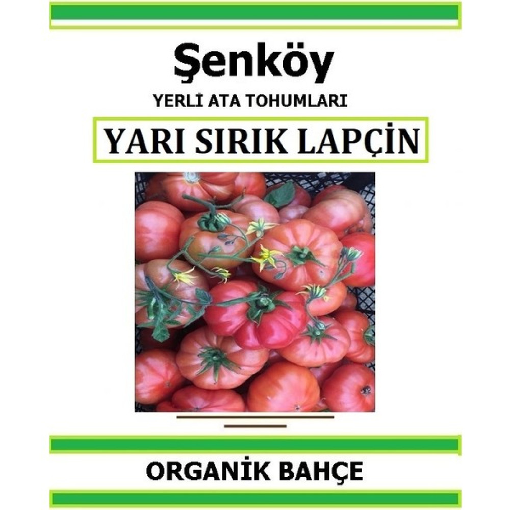 Şenköy Yerli Lapçin Sırık Tabak Domates Tohumu Doğal Ata Tohum Pakette 20 Tohum + Hediye Sebze Tohumu - 1 Adet Tohum Fiyatı