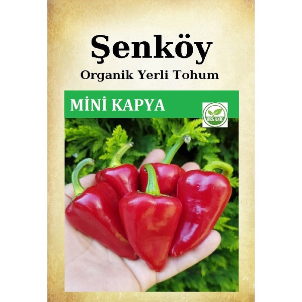 Şenköy Yerli Mini Kapya Biber Tohumu Doğal Ata Turşuluk Közlemelik Biber Tohumu Pakette 100 Adet - 1 Adet Tohum Fiyatı