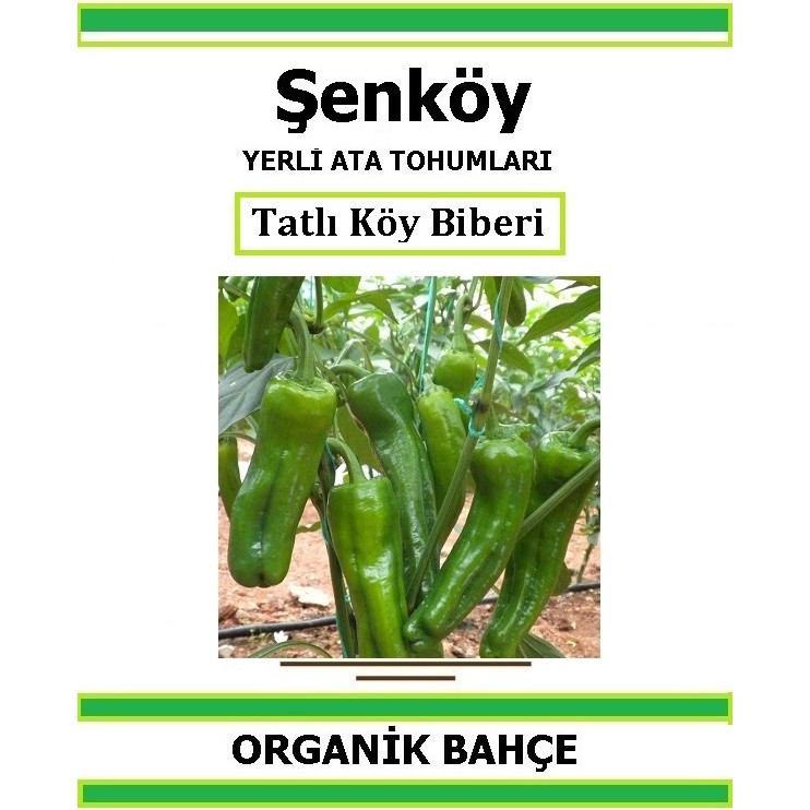 Şenköy Yerli Tatlı Köy Biber Tohumu Doğal Ata Tohum Pakette 20 Tohum + Hediye Sebze Tohumu - 1 Adet Tohum Fiyatı