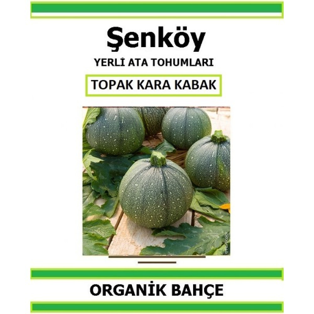 Şenköy Yerli Topak Kara Kabak Tohumu Doğal Ata Tohum Pakette 20 Tohum + Hediye Sebze Tohumu - 1 Adet Tohum Fiyatı
