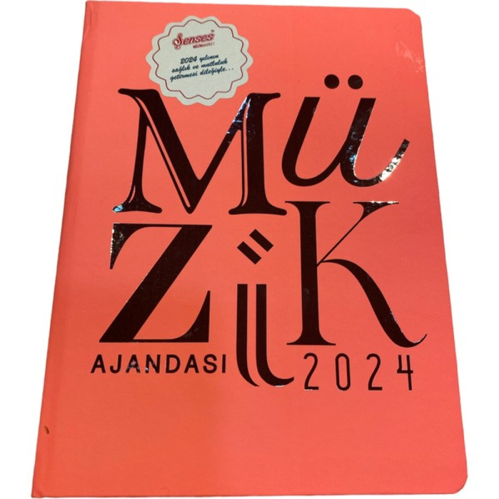 Şenses Müzik Market Şenses 2024 Müzik Ajandası Sevdiklerinize En Güzel Yeni Yıl Hediyesi Oto Boyaları Fiyatı