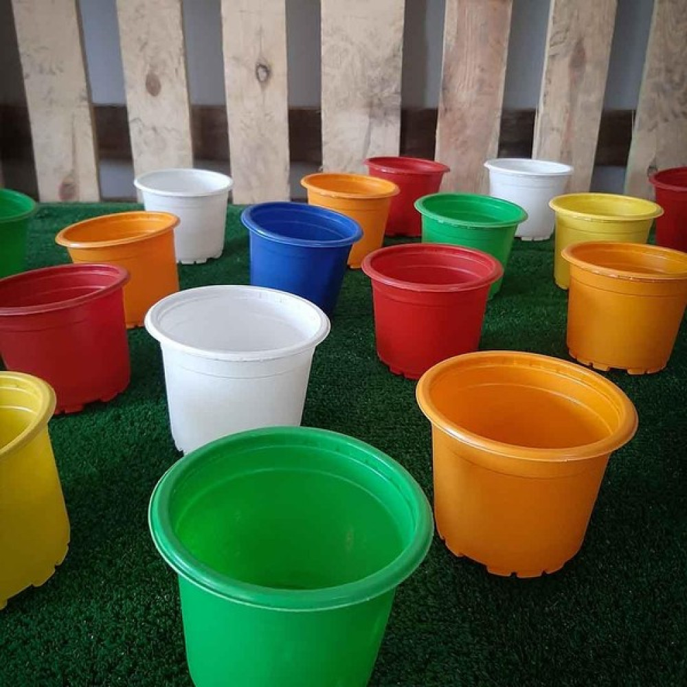 Sera Trend 9x7 cm Üretim Saksı 50 Adet Rengarenk Kaktük ve Sukulent Üretim Saksısı Küçük Renkli Plastik Saksı Saksı ve Aksesuarları Fiyatı