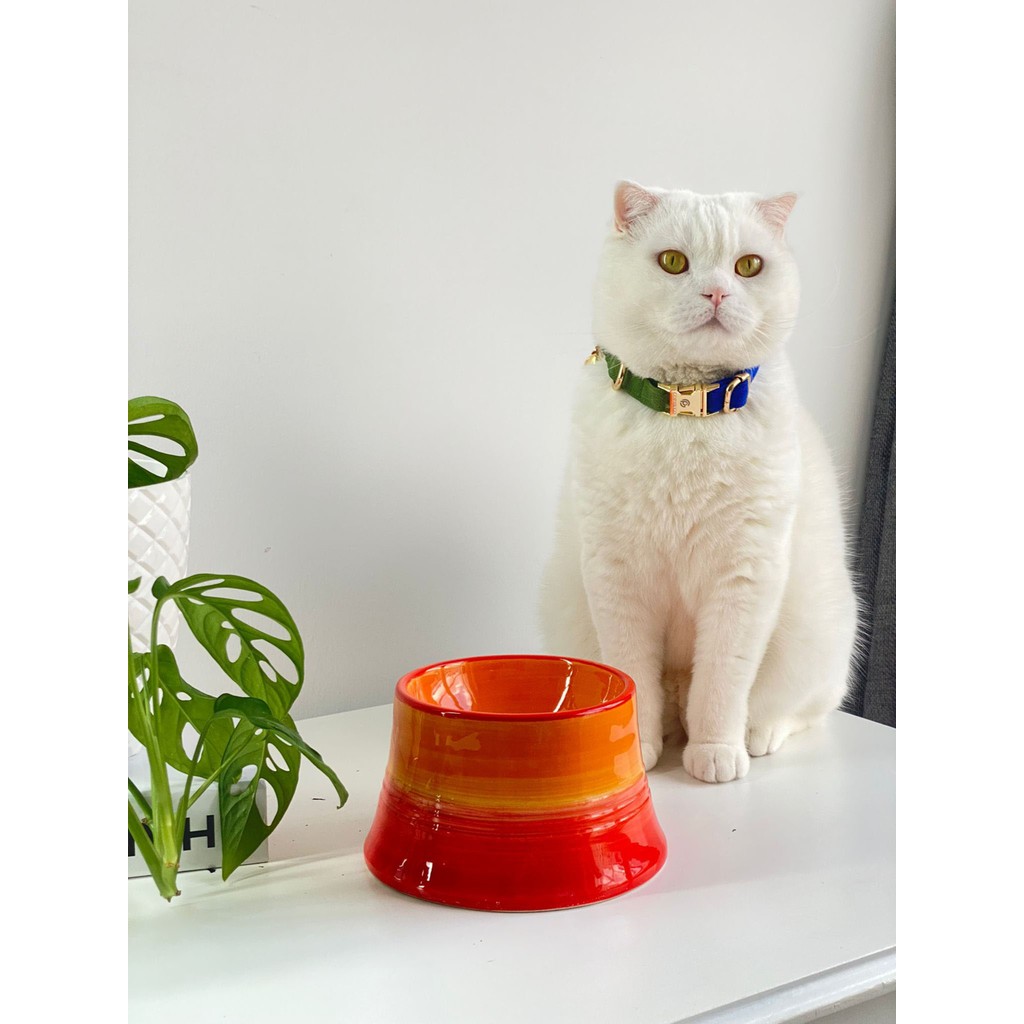 Seramik Kedi ve Köpek Mama Su Kabı Colorful Moon Bowl (Turuncu-Sarı) Diğer Fiyatı