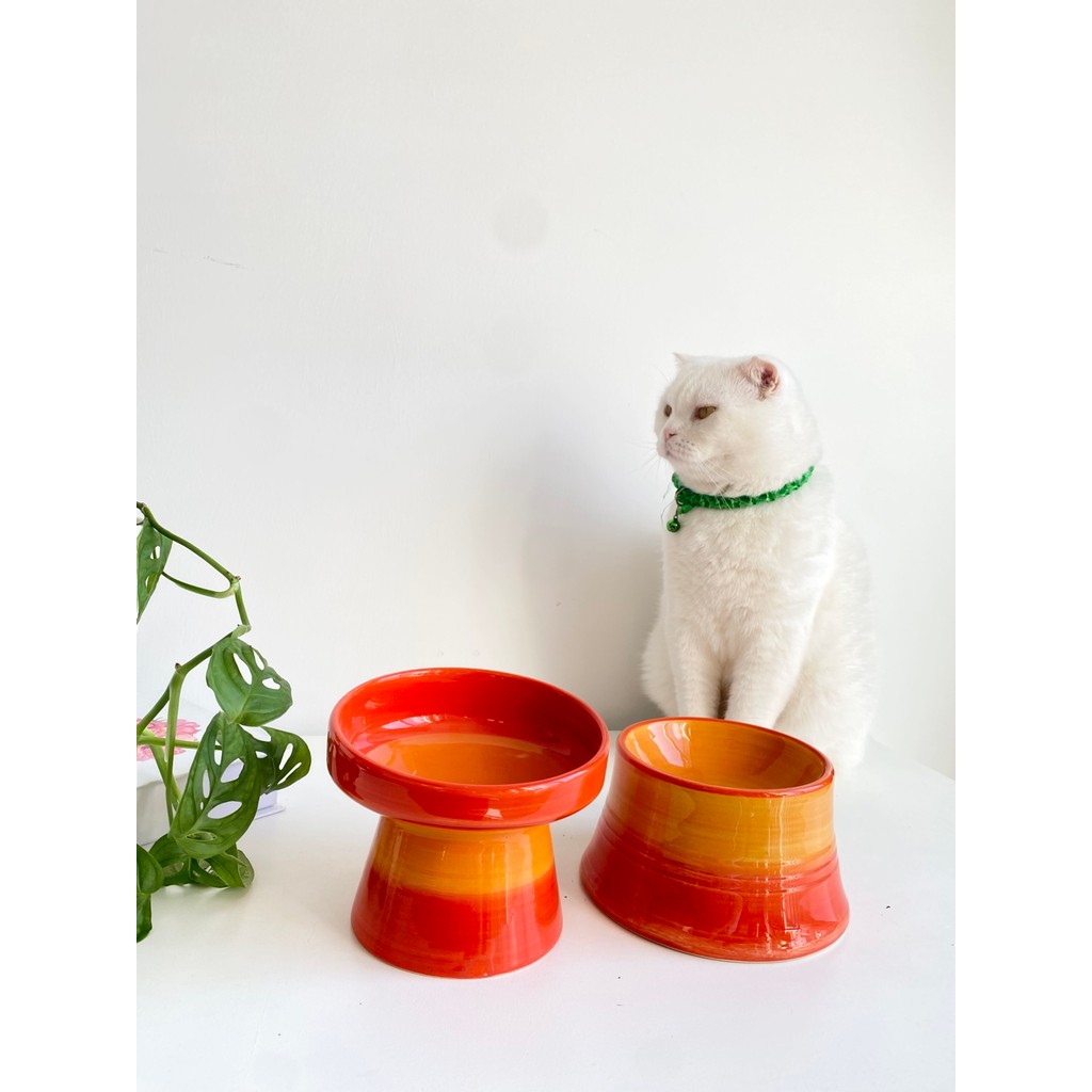 Seramik Kedi ve Köpek Mama Su Kabı (Turuncu & Colorful Moon Turuncu- Gökkuşağı- 2'li) - Turuncu Diğer Fiyatı