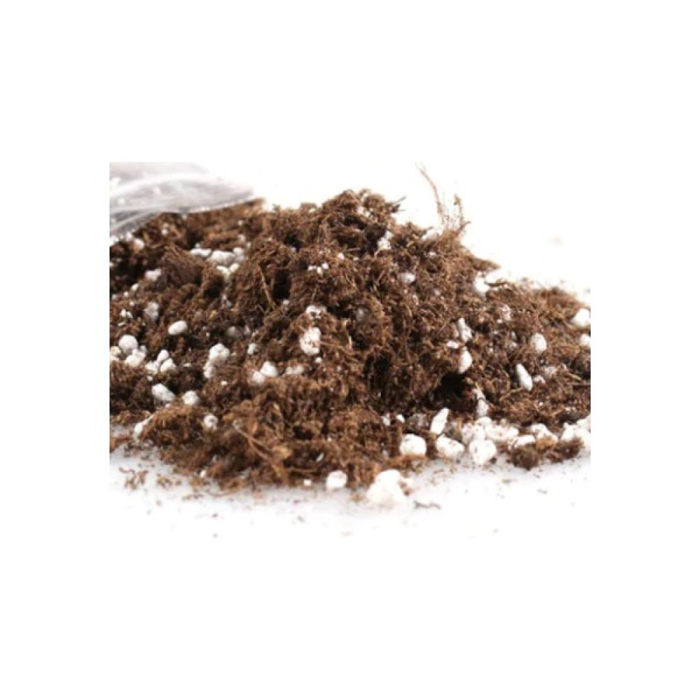 Serdar Çam Tohumculuk 10 Litre Ithal Bonzai Ağacı Toprağı Bonsai Toprağı Bitki Fiyatı