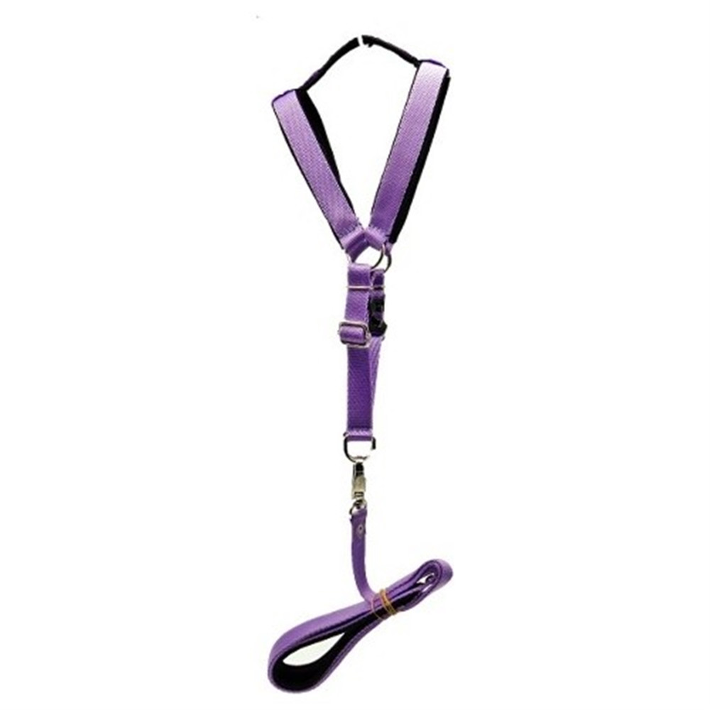 Serengeti Elastik Kedi Tasması (SET-073) Oto, Bahçe, Yapı Market Fiyatı