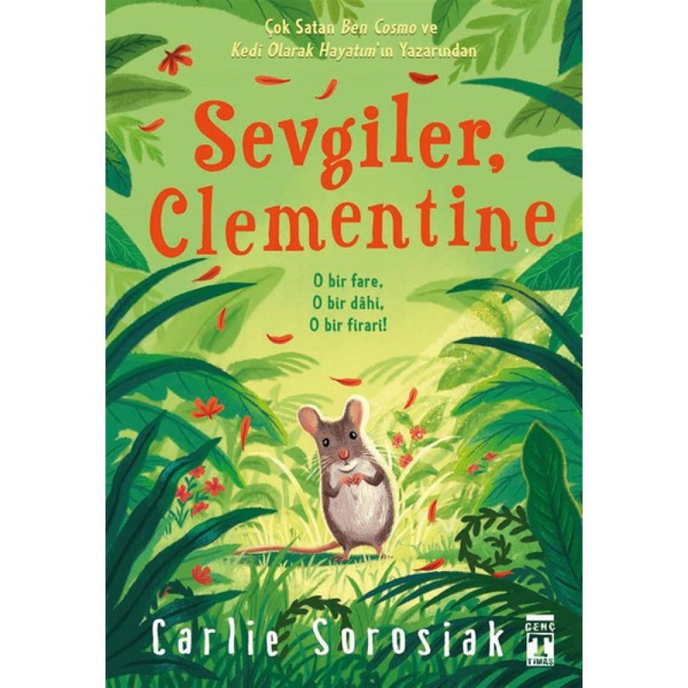 Sevgiler, Clementine - Carlie Sorosiak Çocuk Öykü Fiyatı
