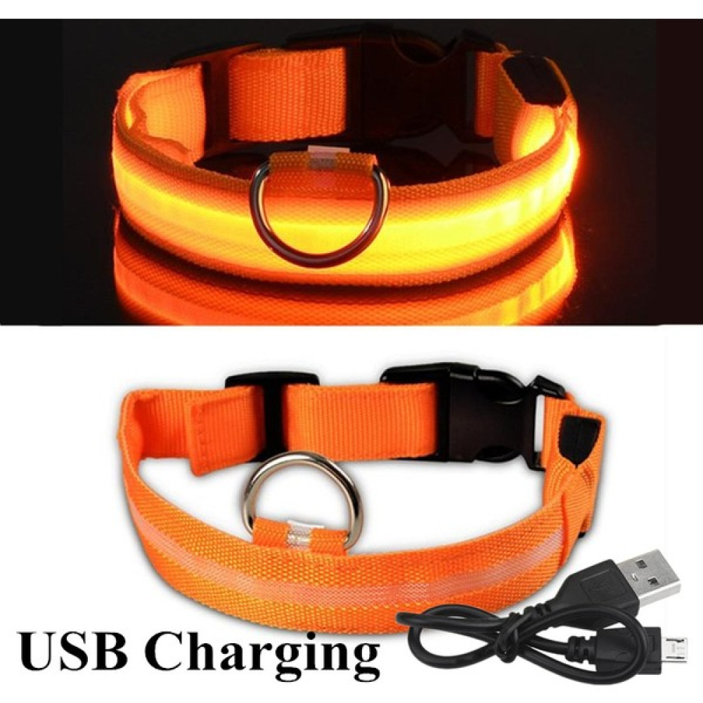 Shanhua Shop Usb-Or Stili 45-52 cm USB Şarj Edilebilir Veya Pil Pet Köpek Pet Kedi LED Parlayan Yaka Aydınlık Yanıp Sönen Kolye Açık Yürüyüş Gece Güvenlik Malzemeleri (Yurt Dışından) - Beyaz Oto Boyaları Fiyatı