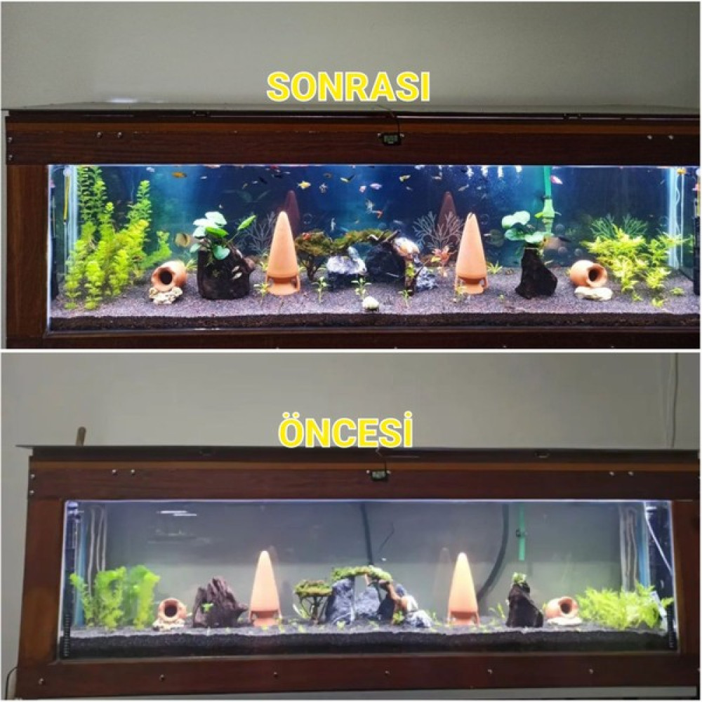 Shark Akvaryum Aydınlatma 3 Renk Grolüx Bar LED 60 cm Evcil Hayvan Ürünleri Fiyatı