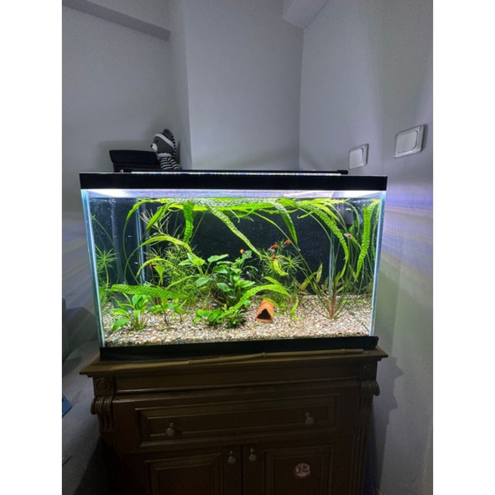 Shark Akvaryum Aydınlatma Fullspectrum 4 Renk Armatür 2 Sıra Osram Ledli 105 CM(110-115 cm Uyumlu-3300 lümen) - 105 CM Evcil Hayvan Ürünleri Fiyatı