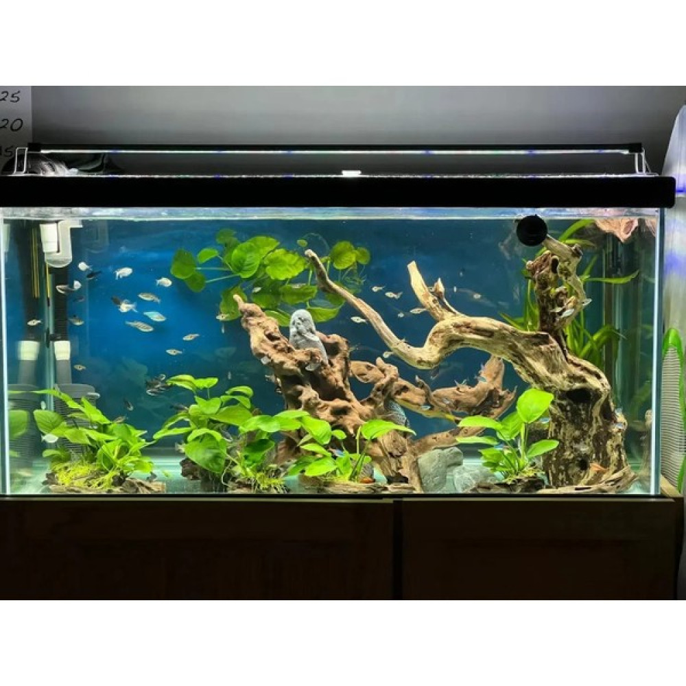 Shark Akvaryum Aydınlatma Fullspectrum 4 Renk Armatür 2 Sıra Osram Ledli 35 Cm(40-45 cm Uyumlu-990 lümen) - 35 CM Evcil Hayvan Ürünleri Fiyatı