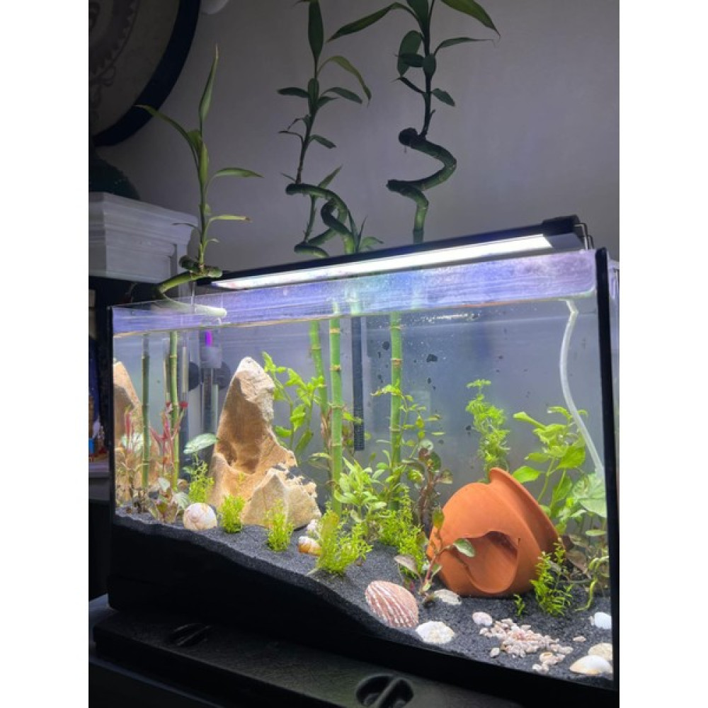 Shark Akvaryum Aydınlatma Fullspectrum 4 Renk Armatür 2 Sıra Osram Ledli 55 Cm (60-65 cm Uyumlu-1650 lümen) Evcil Hayvan Ürünleri Fiyatı