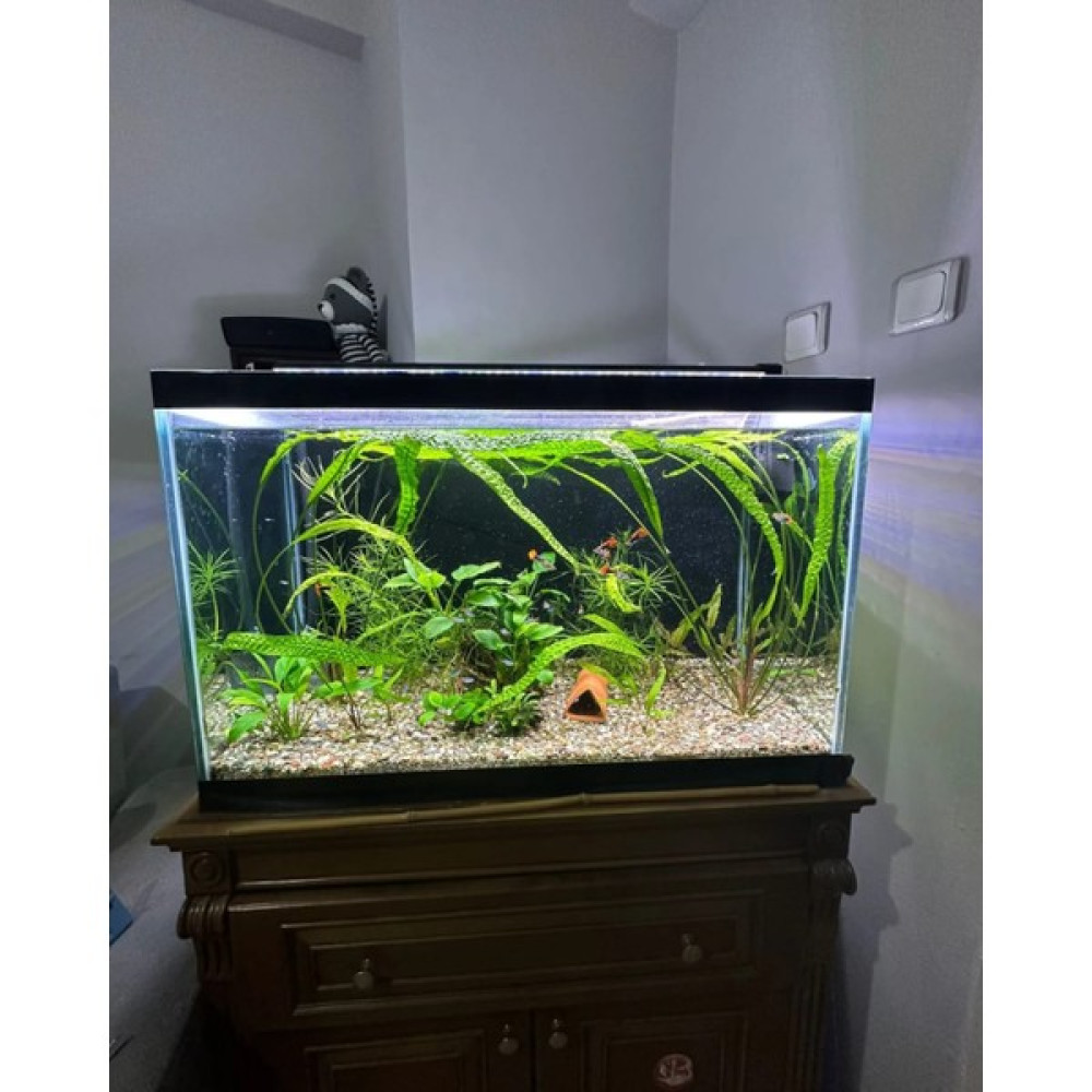 Shark Akvaryum Aydınlatma Fullspectrum 4 Renk Armatür 2 Sıra Osram Ledli 85 Cm (90-95 cm Uyumlu-2640 lümen) Evcil Hayvan Ürünleri Fiyatı
