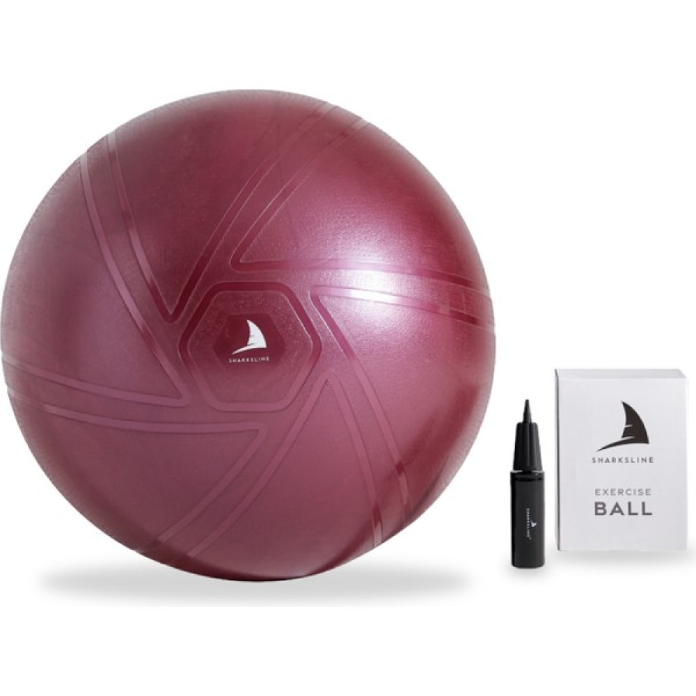 Sharksline - Premium Pilates Topu ve Pompa Seti Denge Aerobik Yoga Fitness Topu Pilates Fiyatı