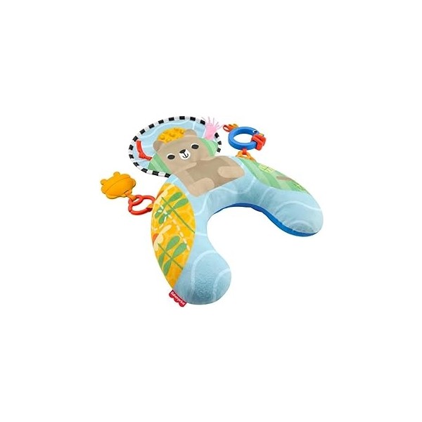 SHC4200 Fisher-Price Su Samuru Karınüstü Zamanı JHB44 - Seçenek Diğer Fiyatı