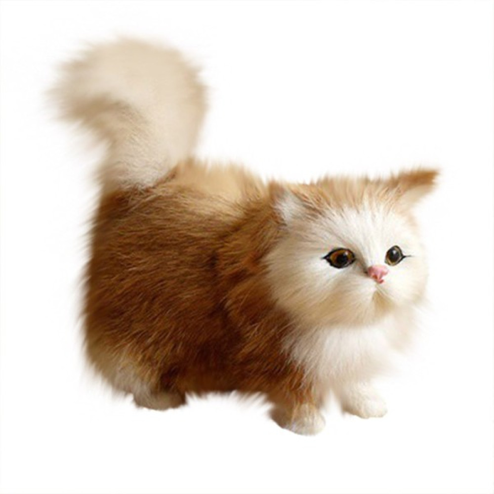 Sheng Store Kedi Peluş Oyuncak (Yurt Dışından) Peluş Oyuncaklar Fiyatı