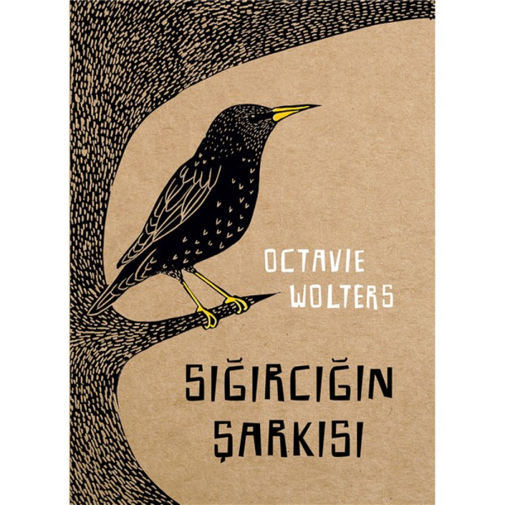 Sığırcığın Şarkısı - Octavie Wolters Çocuk Roman Fiyatı