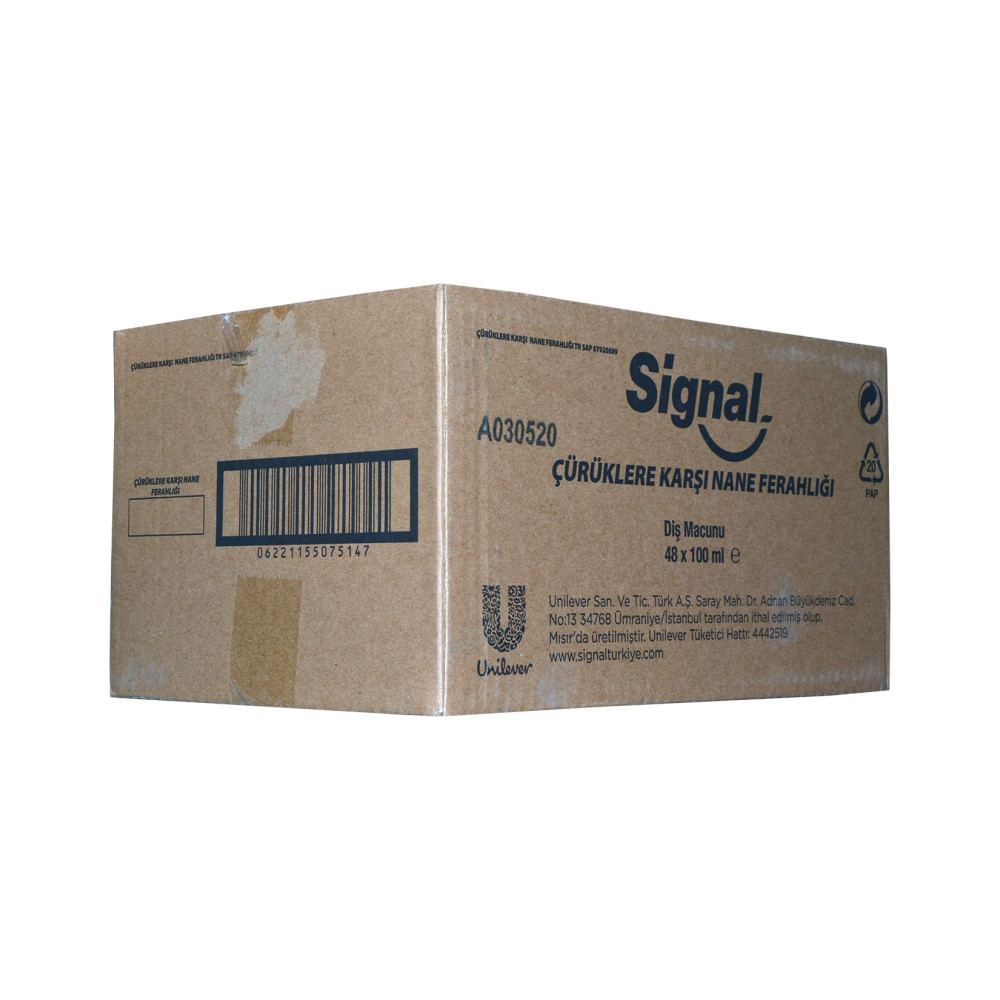 Signal Diş Macunu 100 ml Nane Ferahlığı