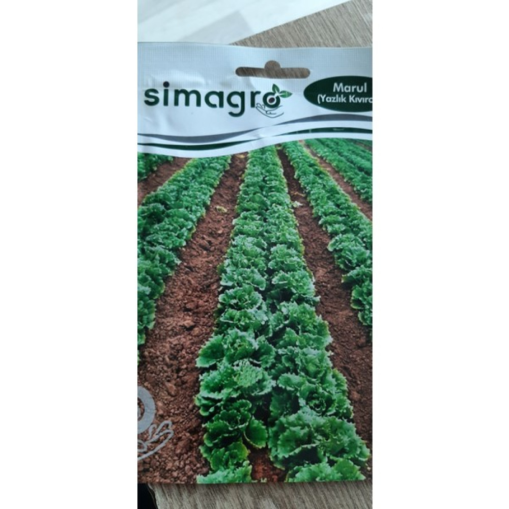 Simagro Kolukısa Tarım Simagro Yazlık Marul Tohumu - 10025 Adet Oto Boyaları Fiyatı