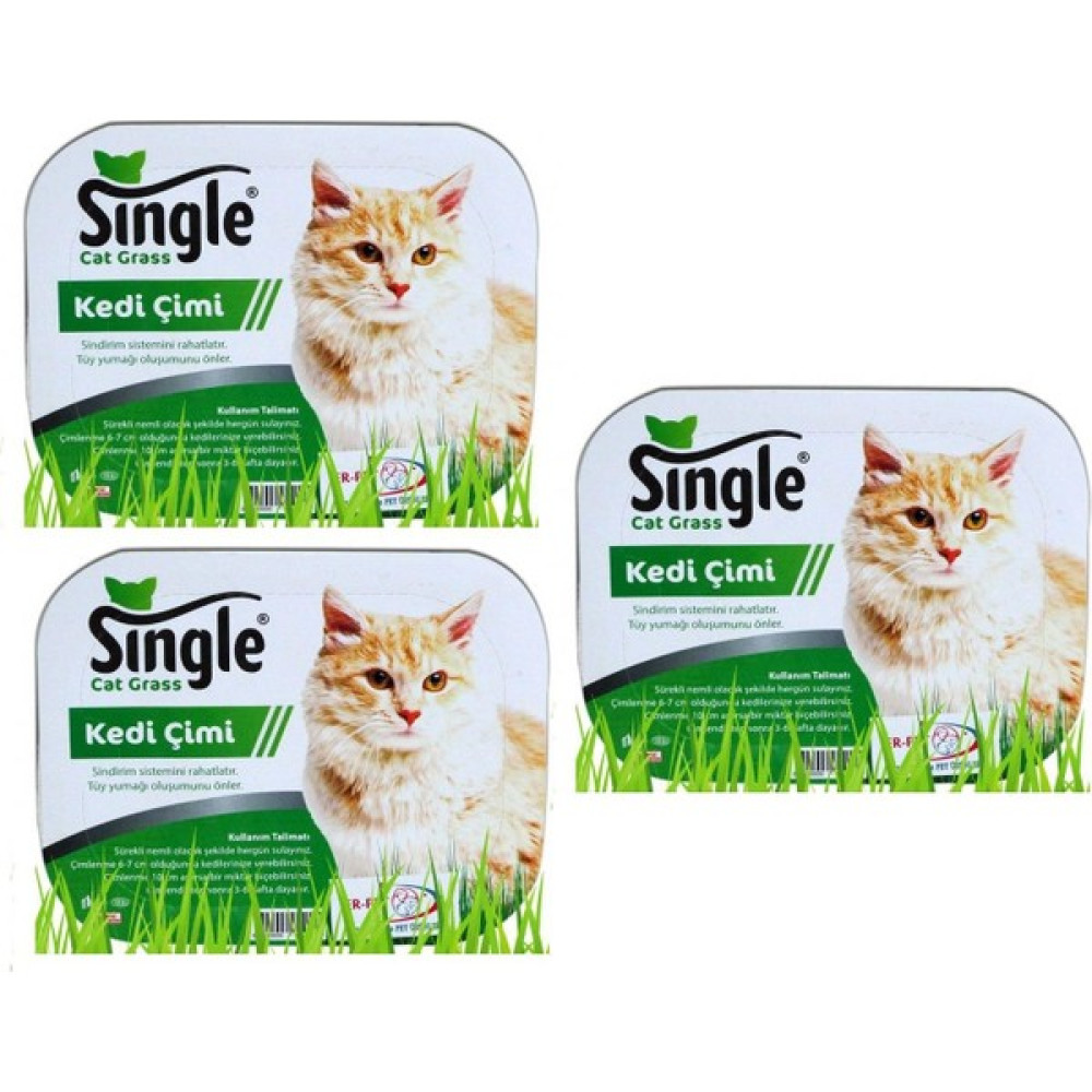 Single Natural Kedi Çimi (3 Adet) Evcil Hayvan Ürünleri Fiyatı
