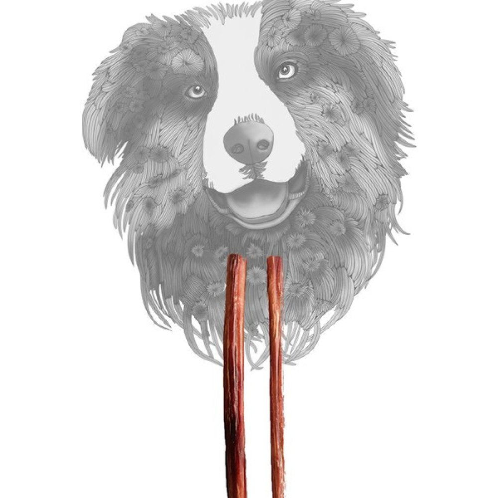 Sirius Pet Food Bully Stick - Dana Penisi 30 cm 2 Adet - Renkli Evcil Hayvan Ürünleri Fiyatı