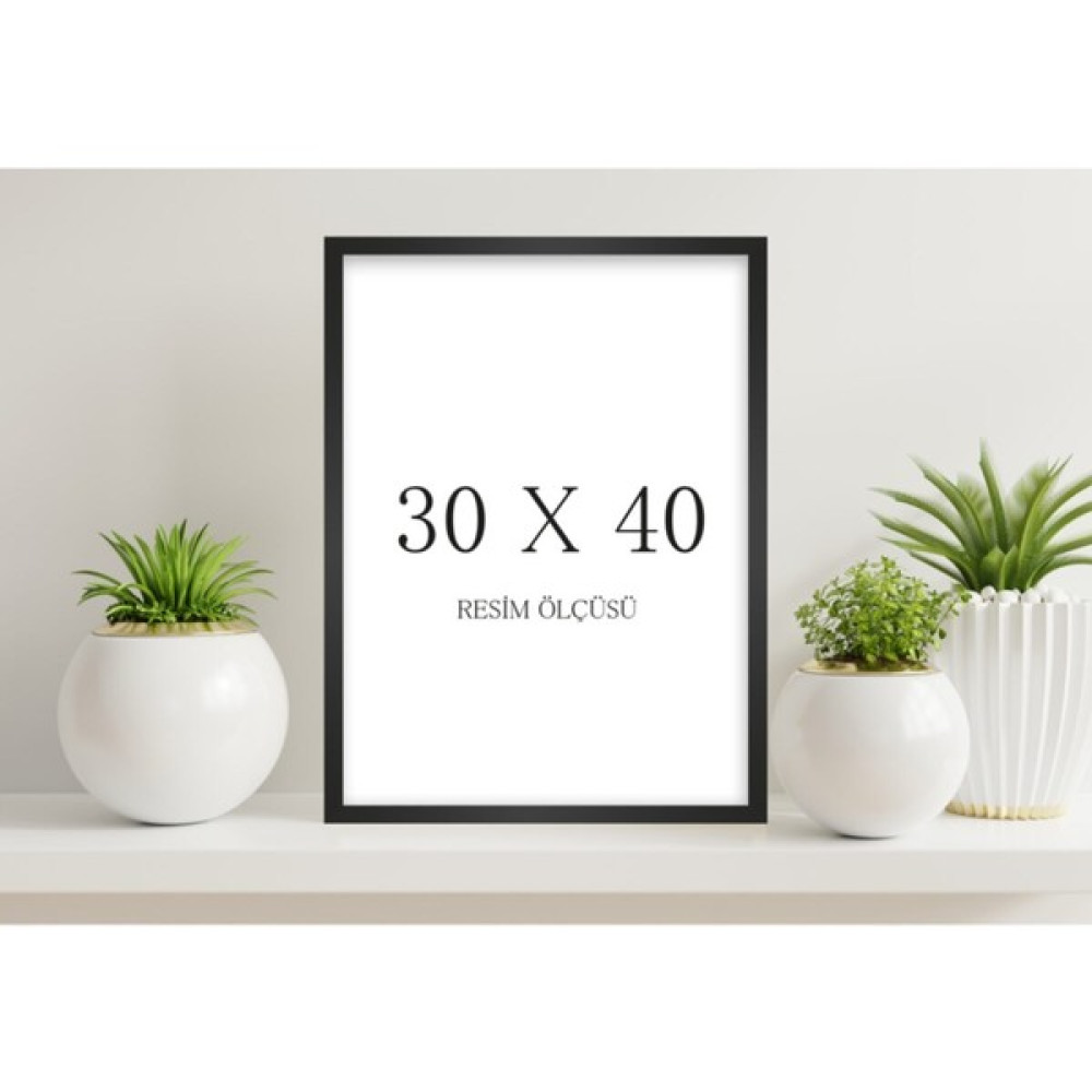 Siyah Renk 30 x 40 cm 1 Adet Boş Çerçeve Resim & Fotoğraf Çerçevesi Fiyatı