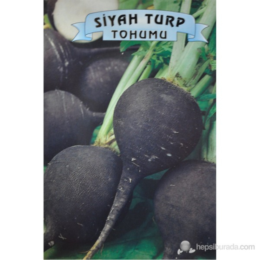 Siyah Turp Tohum Fiyatı