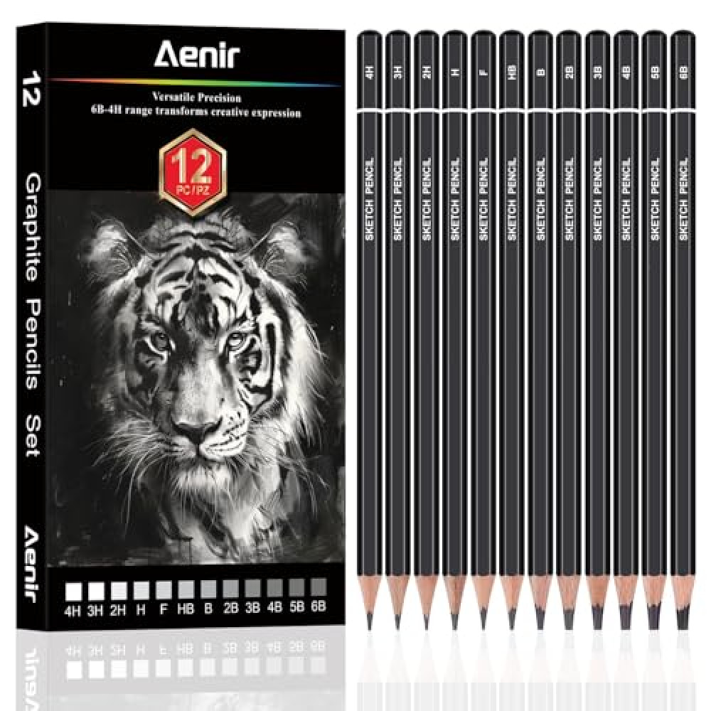 Sketching Pencils for Drawing, Set of 12 Drawing Pencils for Sketching Medium (6B - 4H), Artist Graphite Pencils for Drawing, Sketch Pencils for Artists for Sketching Supplies, Drawing Art Supplies.