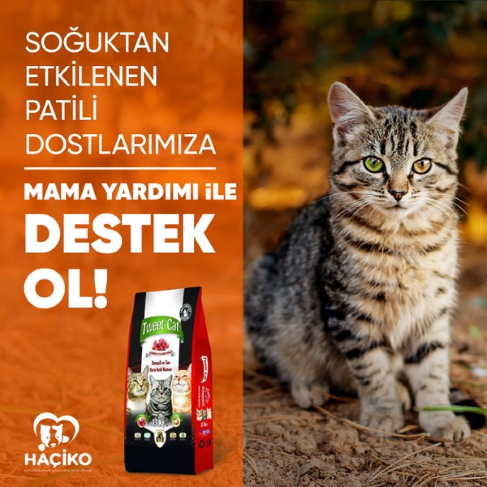 Sokak Hayvanları Yardım Maması - Kedi Maması 13 Kg Evcil Hayvan Ürünleri Fiyatı