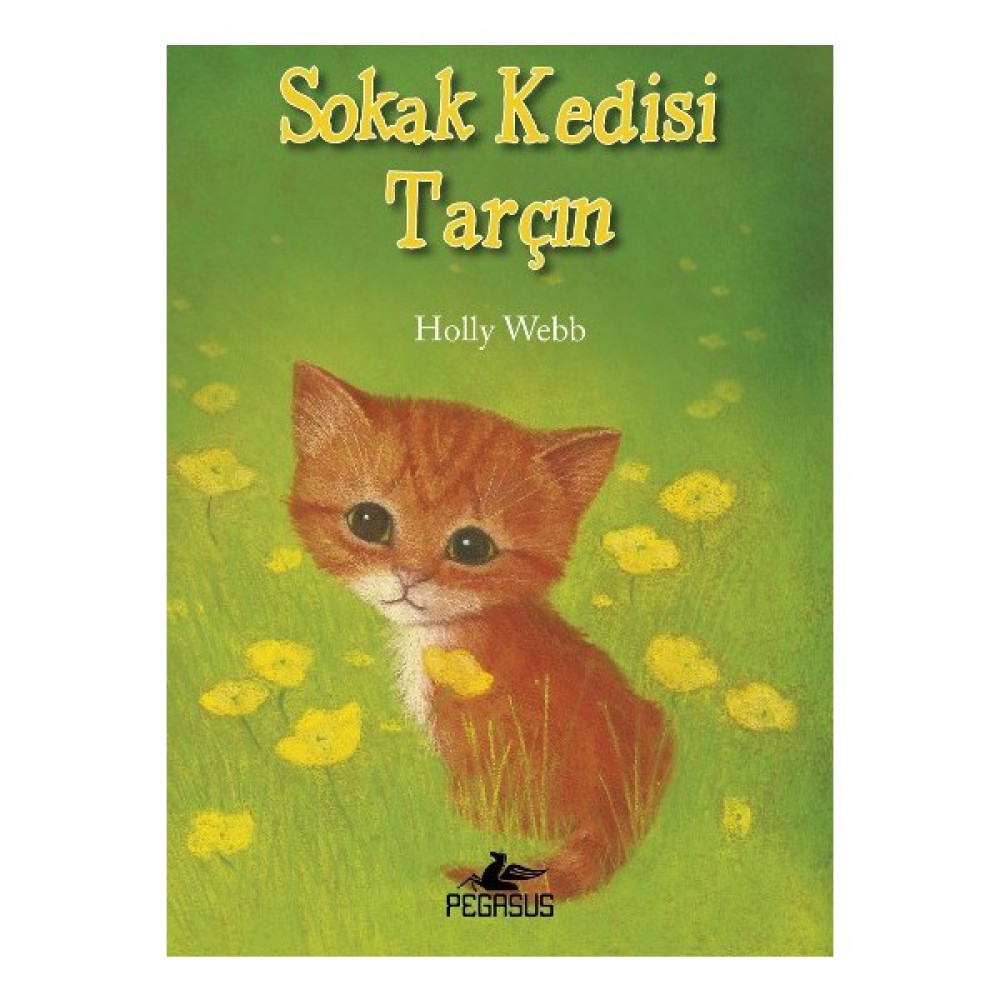 Sokak Kedisi Tarçın Çocuk Masal Fiyatı