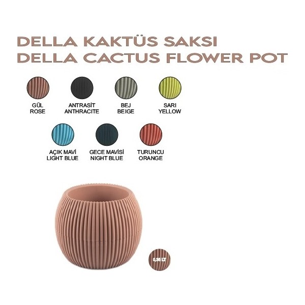 Sönmez Kaktüs Saksı, 0.35L, 11.8x9.2 Cm, No:2 - Renkli Saksı ve Aksesuarları Fiyatı