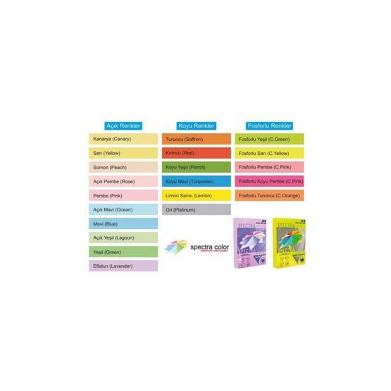 Spectra Color Pembe 500 Sayfa 5li Paket A4 Fotokopi Kağıdı