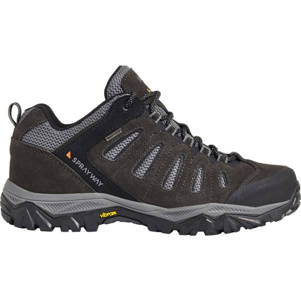Sprayway Cara Low Hyrodry Erkek Ayakkabı Black - 43,5 - Siyah Oto Boyaları Fiyatı