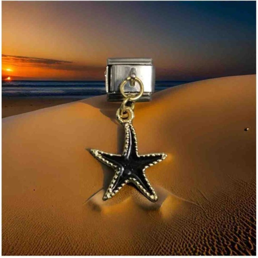 Stainles Steel Italyan Siyah Renk Deniz Yıldızı Detaylı Çelik Charm Diğer Fiyatı