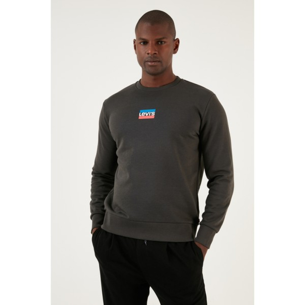 Standard Graphic Crewneck Sweatshirt Erkek Sweatshirt Fiyatı