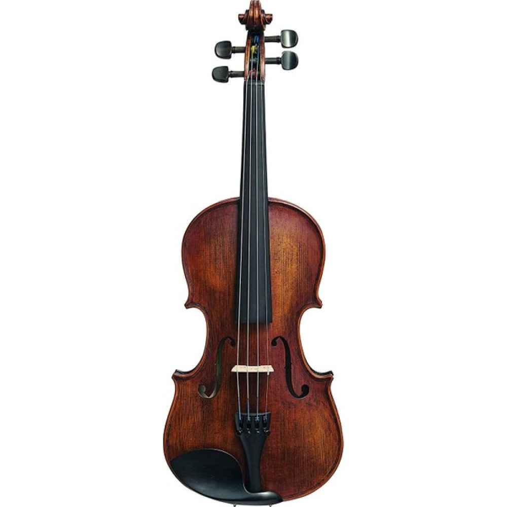 Stentor 1864/A Verona Keman (4/4) Oto Boyaları Fiyatı