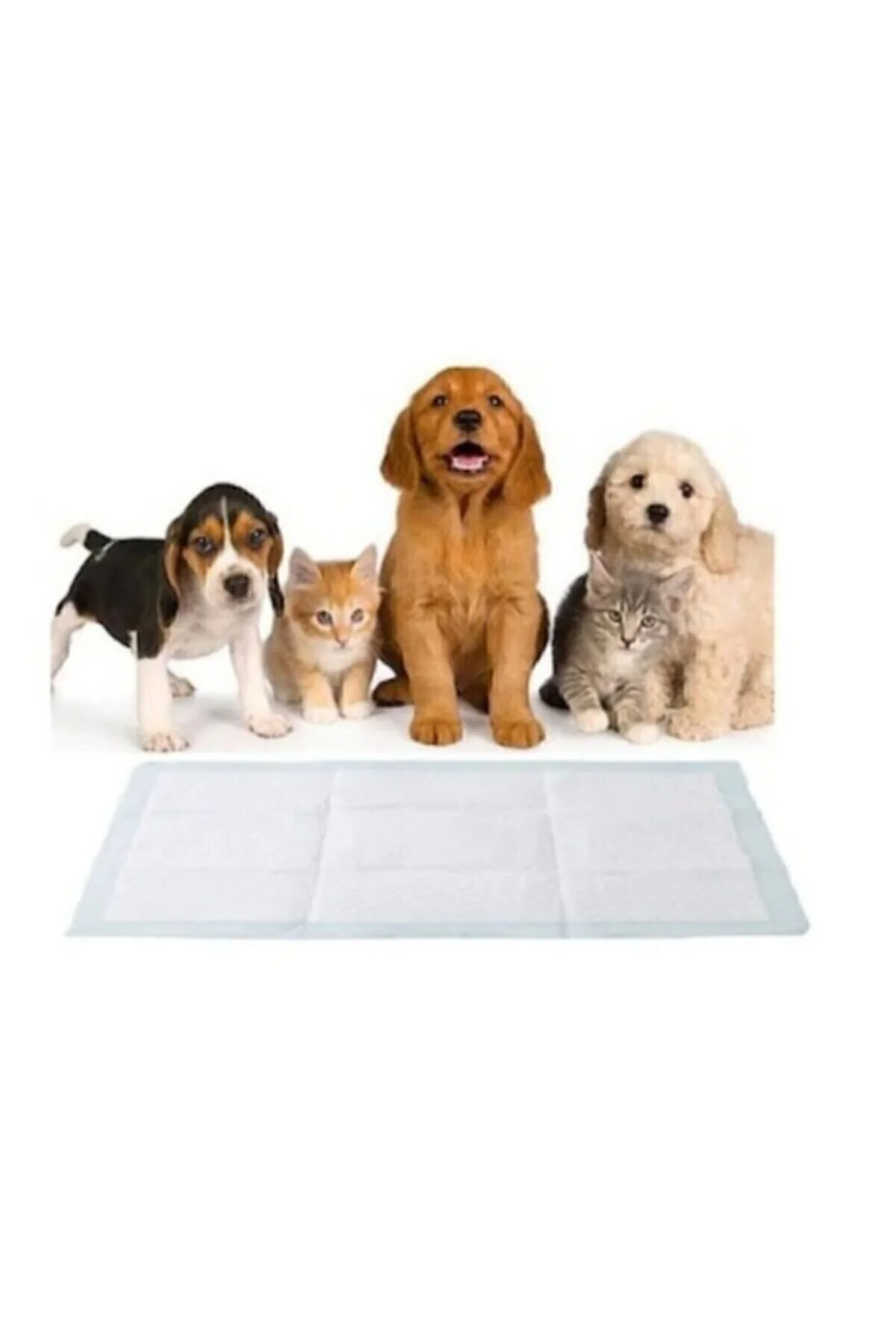 SteriCare Kedi Köpek Çiş Pedi 60x90 Cm 30 Lu Paket Yatak Koruyucu Serme 1 Adet" Evcil Hayvan Ürünleri Fiyatı
