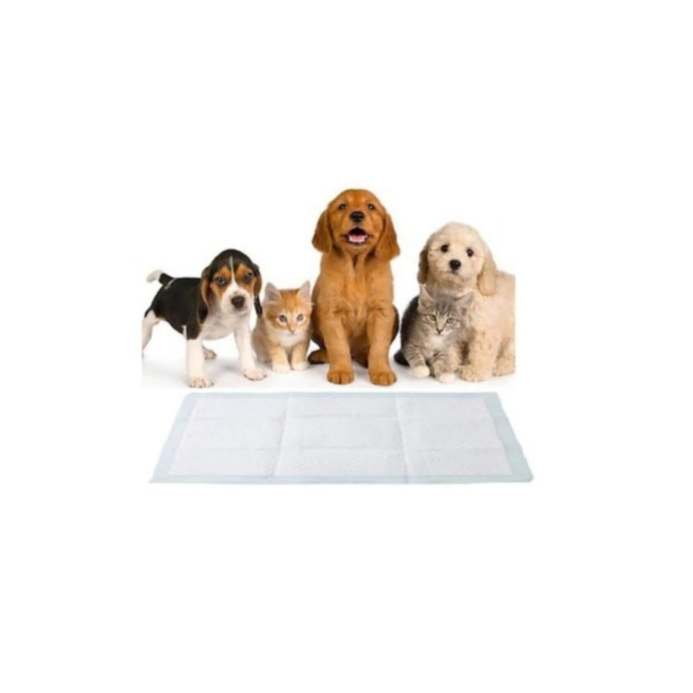 SteriCare Kedi Köpek Çiş Pedi 60x90 Cm 30 Lu Paket Yatak Koruyucu Serme 1 Adet Evcil Hayvan Ürünleri Fiyatı