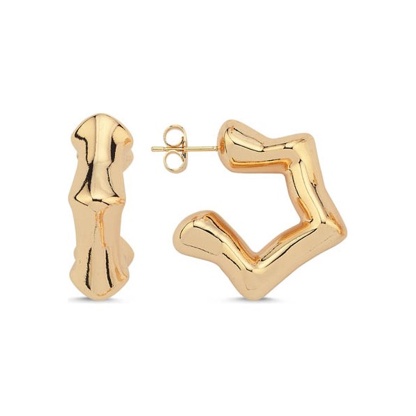 Stern Gold Küpe Diğer Fiyatı