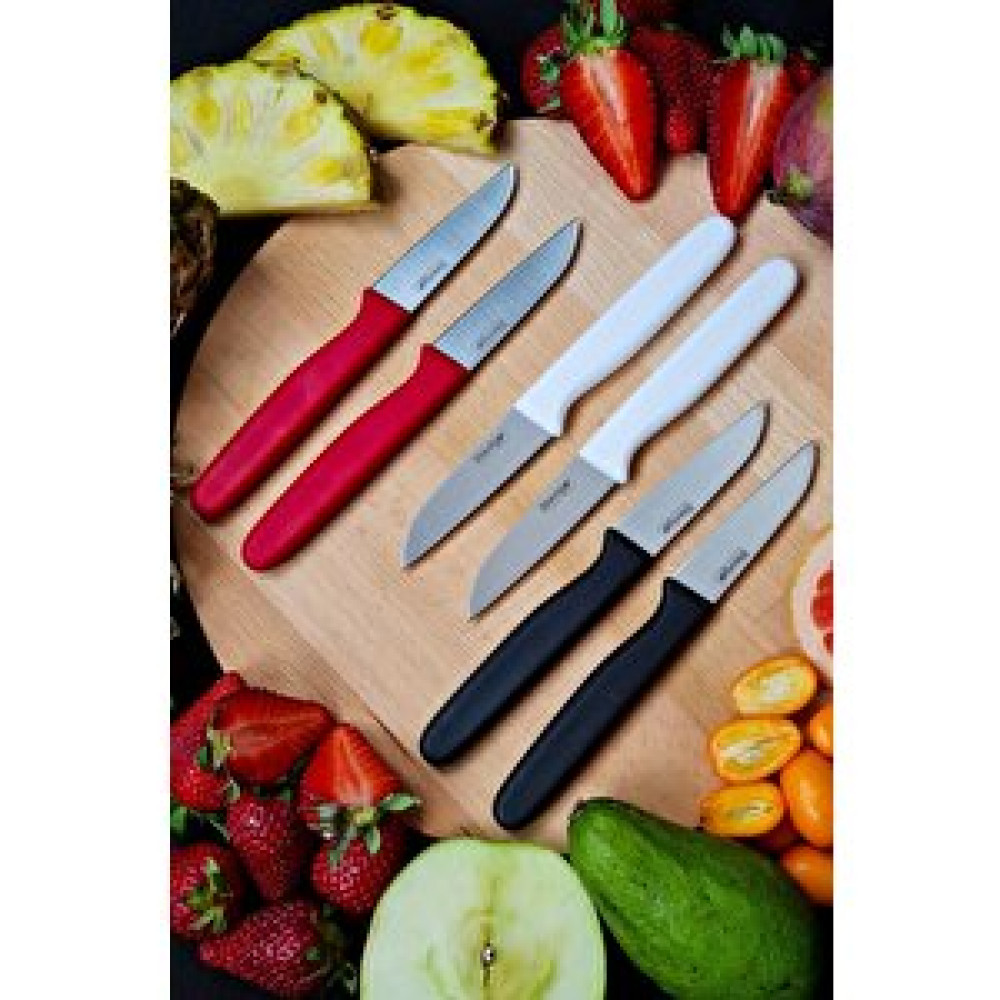 Stevig Cut 4 Fruit 6’lı Mix Meyve Bıçak Seti St-406 Bıçaklar ve Bıçak Setleri Fiyatı