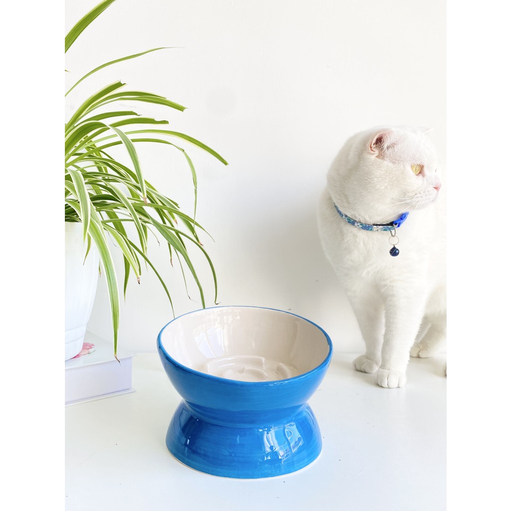 Stilin Bu Mavi Renkli Seramik Yavaş Yeme Kedi Mama Kabı Tekli Yüksekliği 11.5 cm Kolay Temizlik Özelliği Diğer Fiyatı
