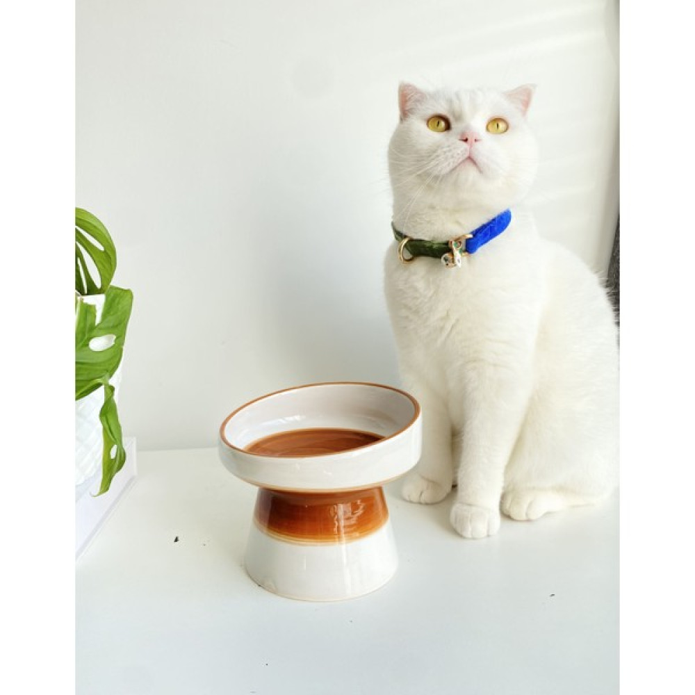 Stilin Bu Seramik Kedi ve Kopek Mama Su Kabı (Beyaz-Açık Kahverengi) - Beyaz Evcil Hayvan Ürünleri Fiyatı