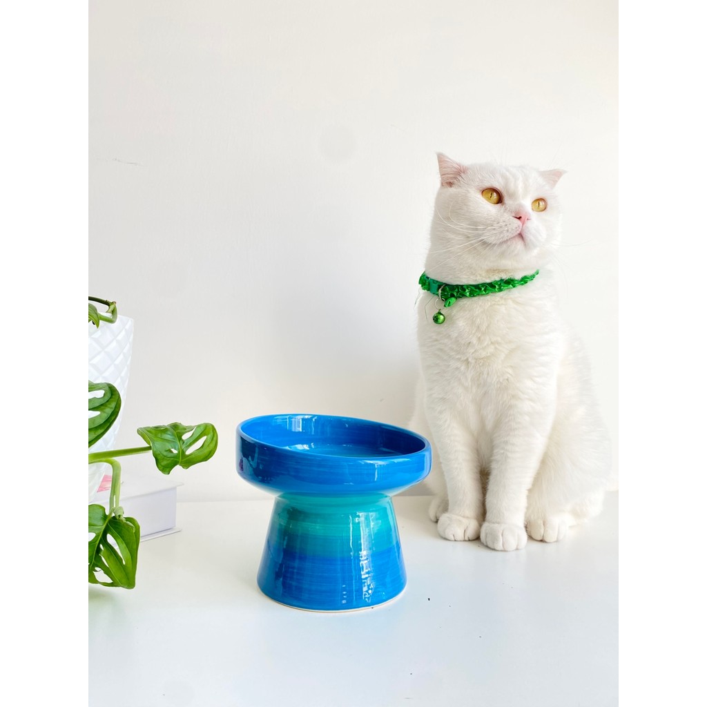 Stilin Bu Seramik Kedi ve Kopek Mama Su Kabı Turkuaz Mavi Diğer Fiyatı