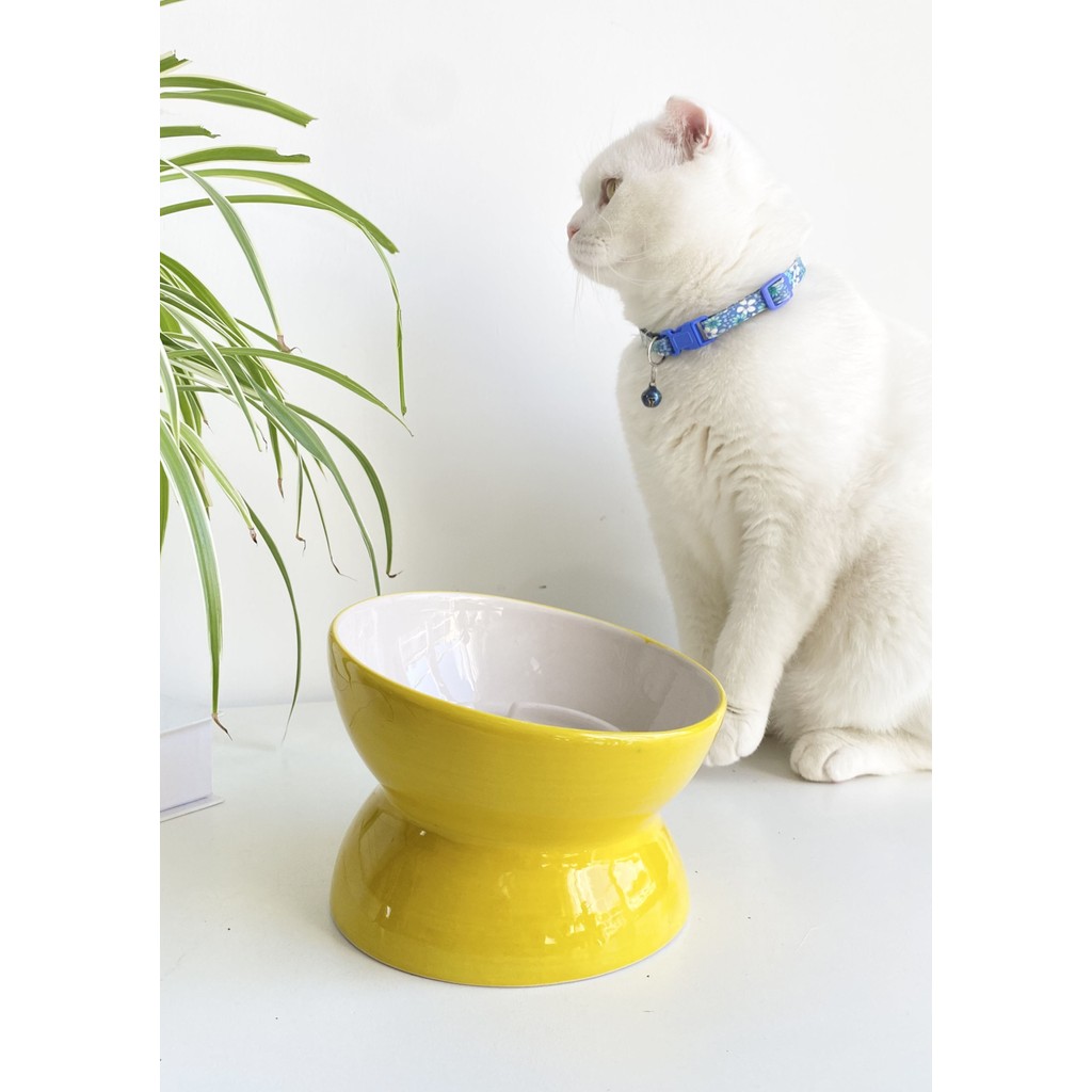 Stilin Bu Seramik Yavaş Yeme Kedi Mama Kabı Sarı Tekli Ergonomik Tasarım 11.5 cm Yükseklik Evcil Hayvan Ürünleri Fiyatı