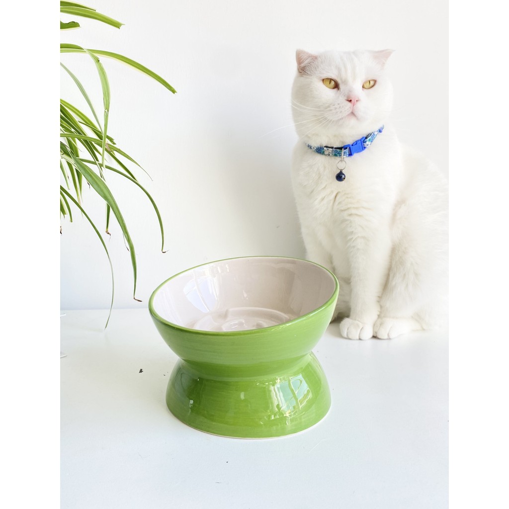 Stilin Bu Seramik Yavaş Yeme Kedi Mama Kabı Yeşil Ergonomik Tasarım ile Kolay Temizlik İçin İdeal Diğer Fiyatı