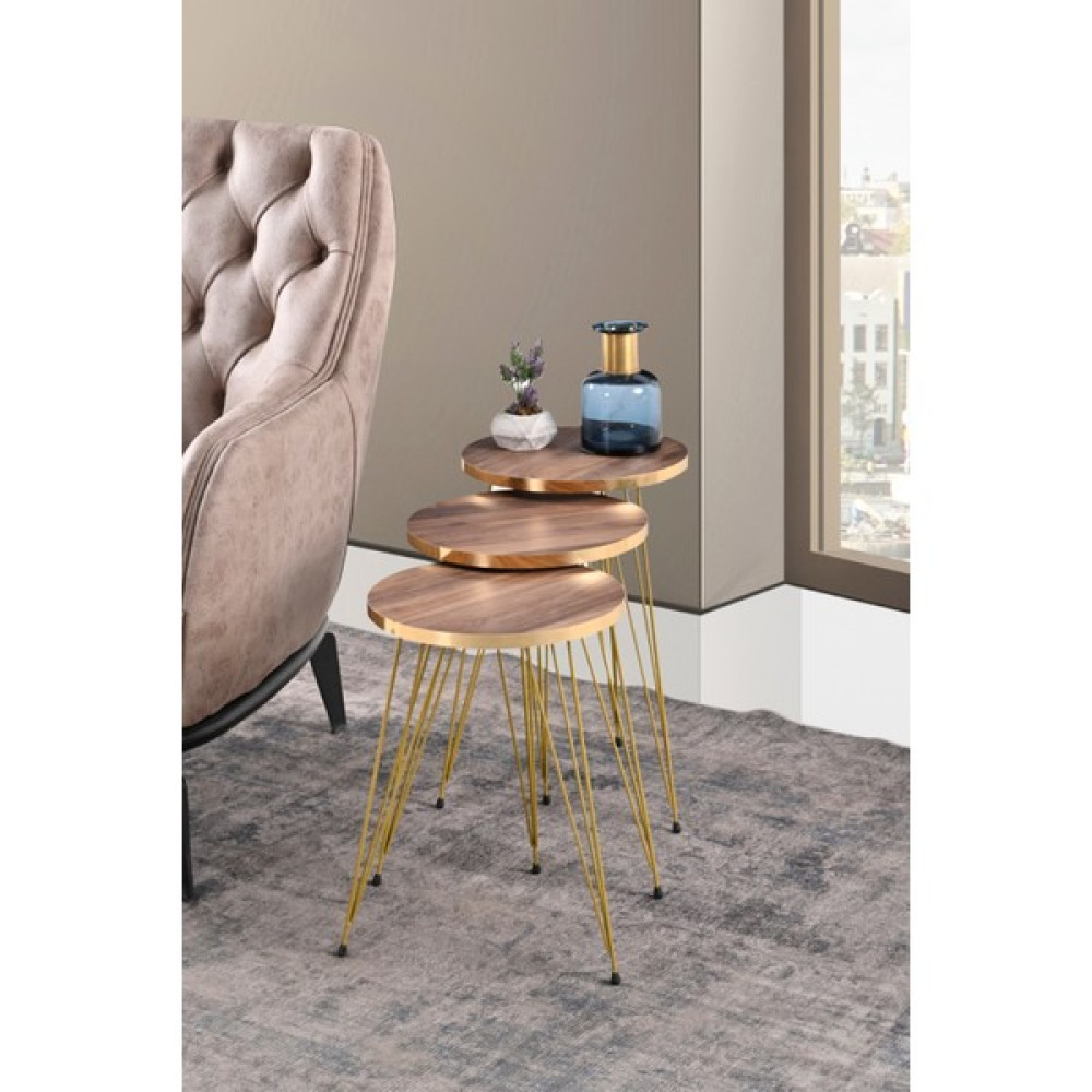 stnlifeconcept 3lü Zigon Sehpa Gold Kenar Gold Metal Ayaklı Ceviz Zigon Sehpa Fiyatı