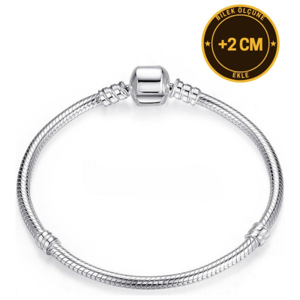 Stone Family Moments Düz Klipsli Yılan Zincir Bileklik, Charm Uyumlu (Tüm Boyutlar) - 18 cm Saat ve Bileklik Aksesuarı Fiyatı