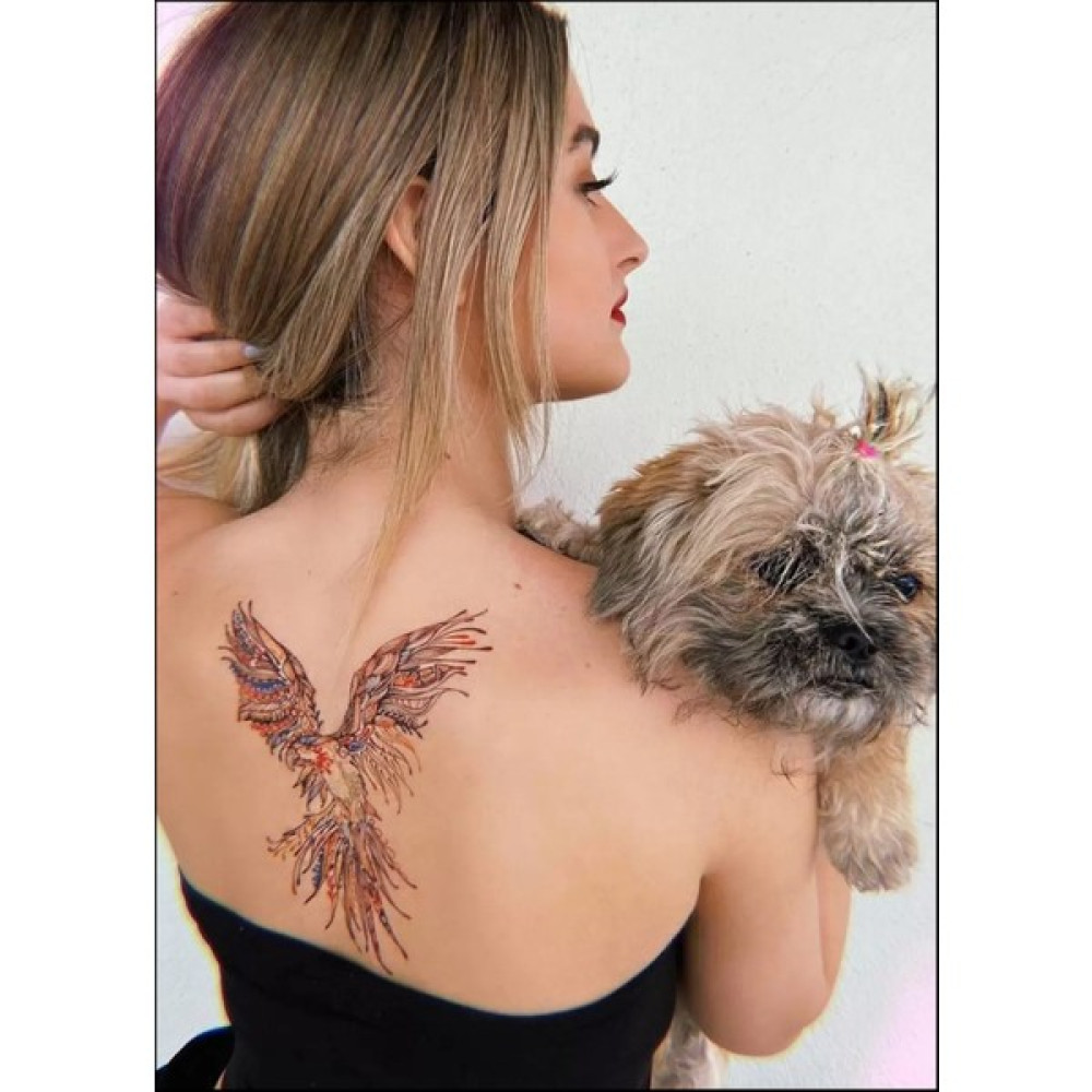 Stone Family Papağan Geçici Dövme Tattoo Oto Boyaları Fiyatı
