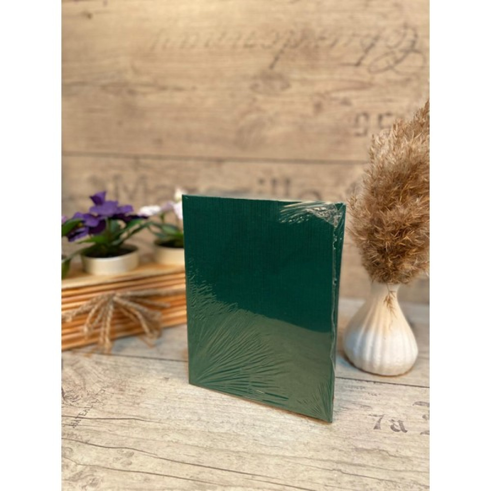 Stüdyo Mustafa 100LÜK 10 x 15 cm Fotoğraf Albümü - Yeşil Resim & Fotoğraf Çerçevesi Fiyatı